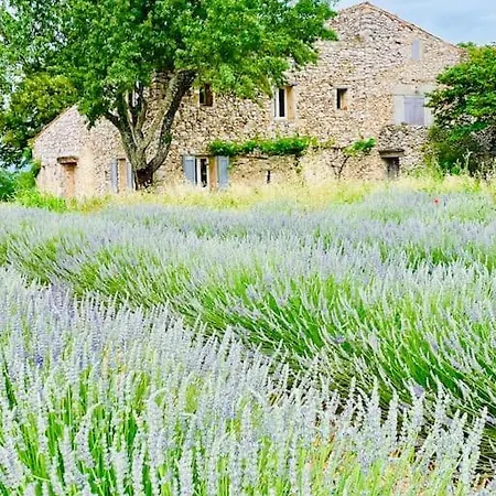 Bergerie Dans Le Verdon Holiday home *