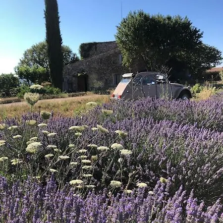 Bergerie Dans Le Verdon