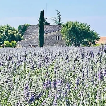 Holiday home Bergerie Dans Le Verdon *
