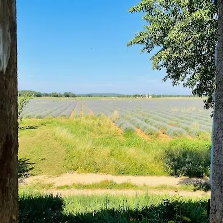 Bergerie Dans Le Verdon Quinson