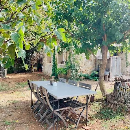 Bergerie Dans Le Verdon Quinson